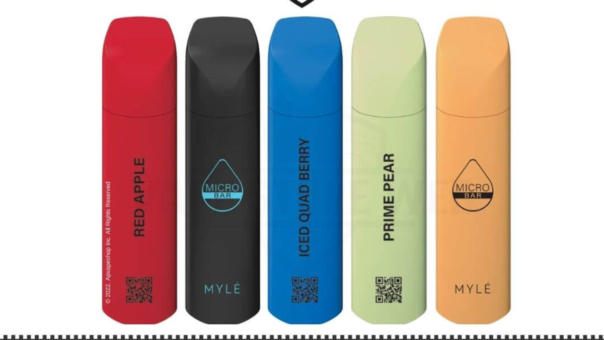 meilleur gout gourmand vape Micro Vaped v2 Nano Vaporizer Kit w/ Titanium Coils Portable Vape Pen 710  BHO