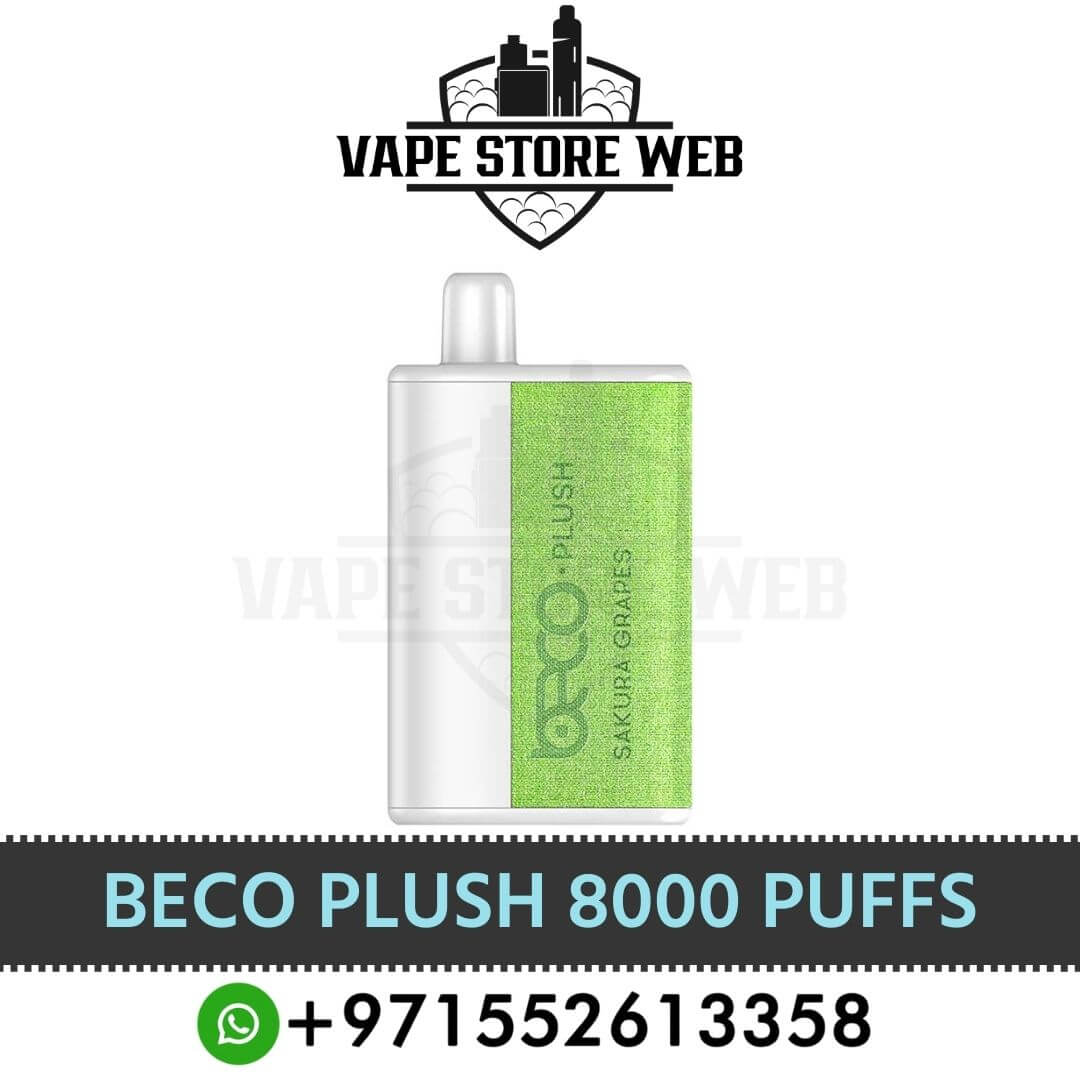 Best Beco Plush 8000 Puffs Disposable Vape Prices In UAE