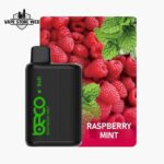 beco soft 6000 puffs disposable vape in dubai raspberry mint