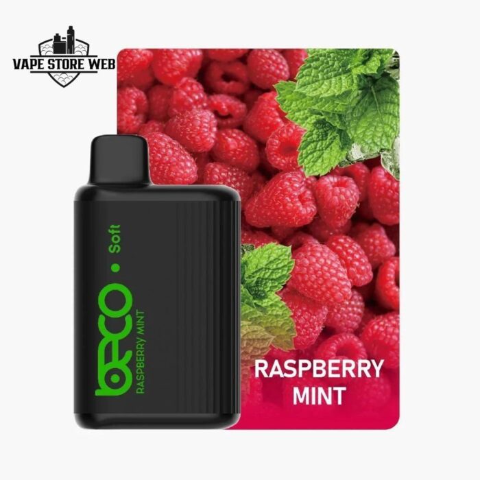 beco soft 6000 puffs disposable vape in dubai raspberry mint