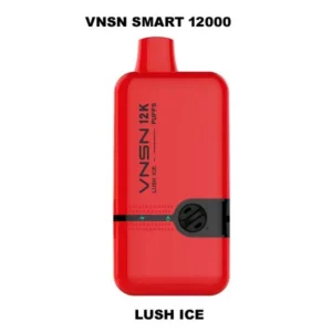 Vnsn Smart 12000 Puffs Disposable Vape In Dubai, UAE