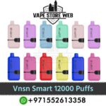 Best Vnsn Smart 12000 Puffs Disposable Vape In Dubai, UAE