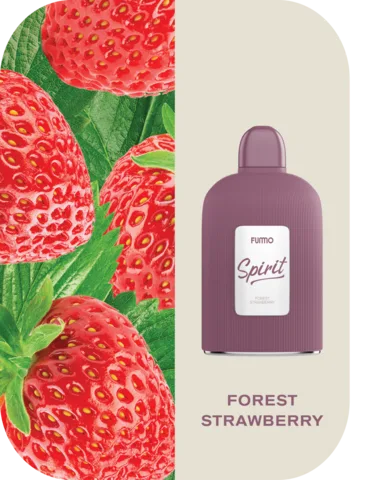 Best Fummo Spirit 7000 Puffs 20Mg Disposable Vape In Dubai