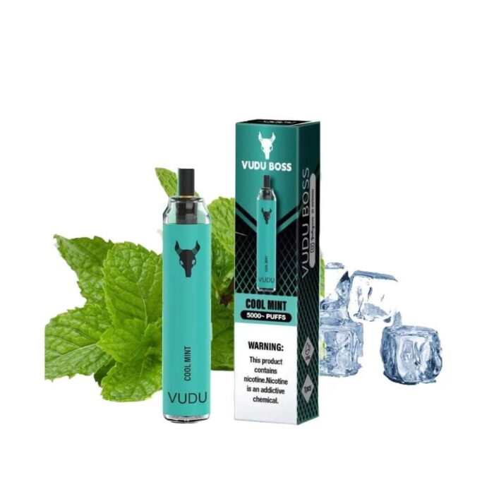 Best VUDU Boss 5000 Puffs 50Mg Cool Mint Disposable Vape In Dubai