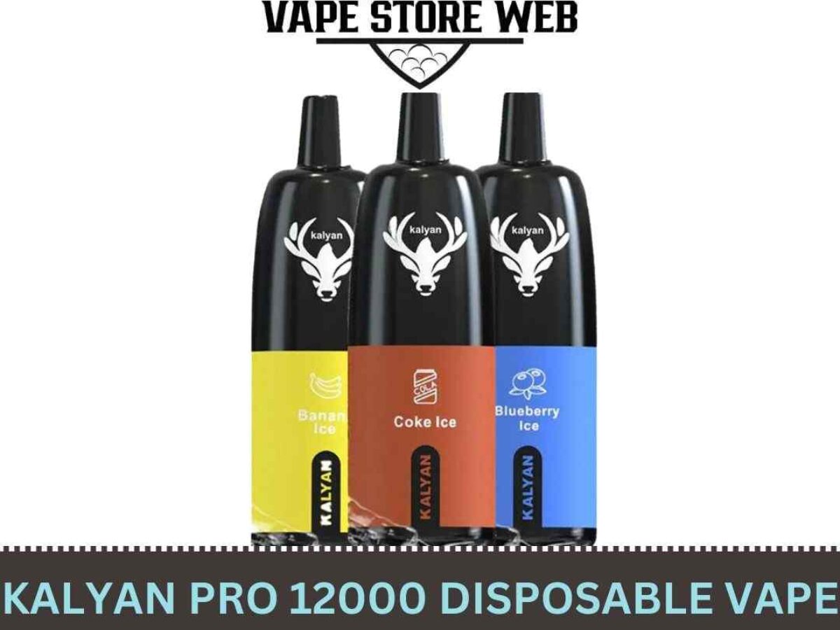 KALYAN Pro 12000 Puffs Disposable Vape 50MG Price in Dubai