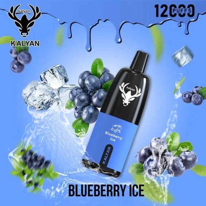 KALYAN PRO 12000 Puffs Price in Dubai Blueberry Ice