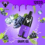 KALYAN PRO 12000 Puffs Price in Dubai Grape Ice