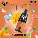 KALYAN PRO 12000 Puffs Price in Dubai Peach Mango Ice