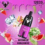 KALYAN PRO 12000 Puffs Price in Dubai Watermelon Bubblegum Ice