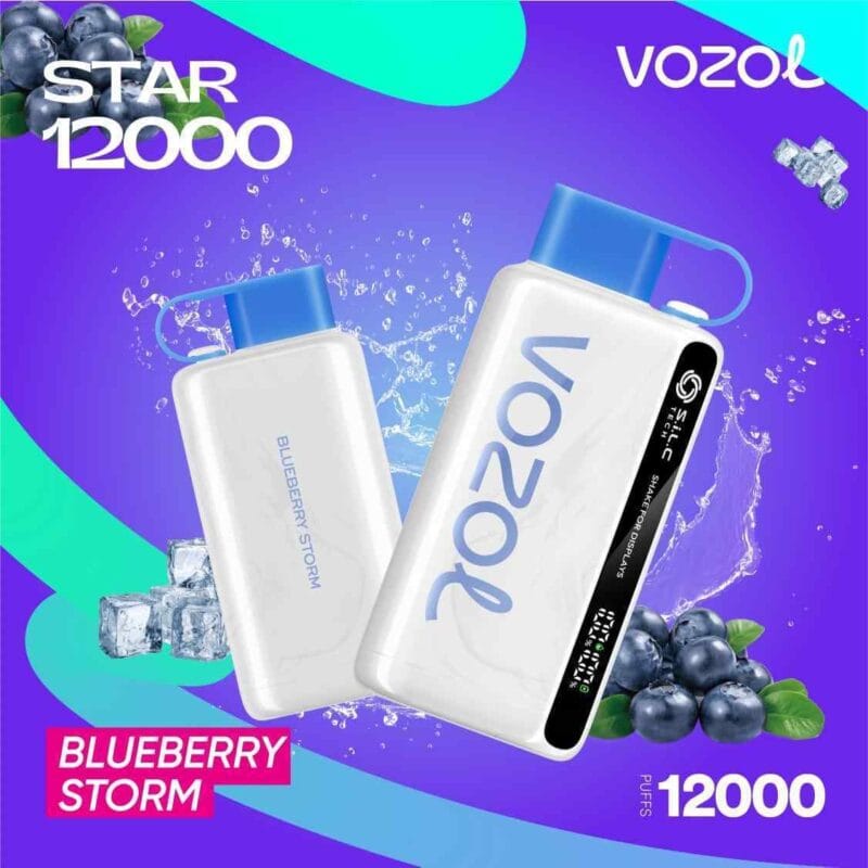 What Makes the VOZOL Star 12K More Than Just Another 12,000-Puff Disposable Vape? 8 VOZOL STAR 12000 PUFFS BLUEBERRY STORM
