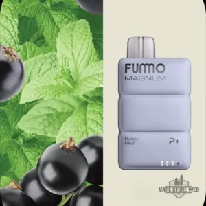 fummo magnum 8000 puffs 20mg disposable vape in dubai black mint
