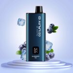 COOLPLAY Smart 6000 Puffs Price in Dubai BLUEBERRY ICE