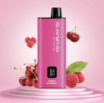 COOLPLAY Smart 6000 Puffs Price in Dubai CHERRY RASPBERRY