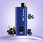 COOLPLAY Smart 6000 Puffs Price in Dubai PURPLE RAIN