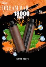 DBR Dream Bar 18000 Puffs Price in Dubai GUM MINT