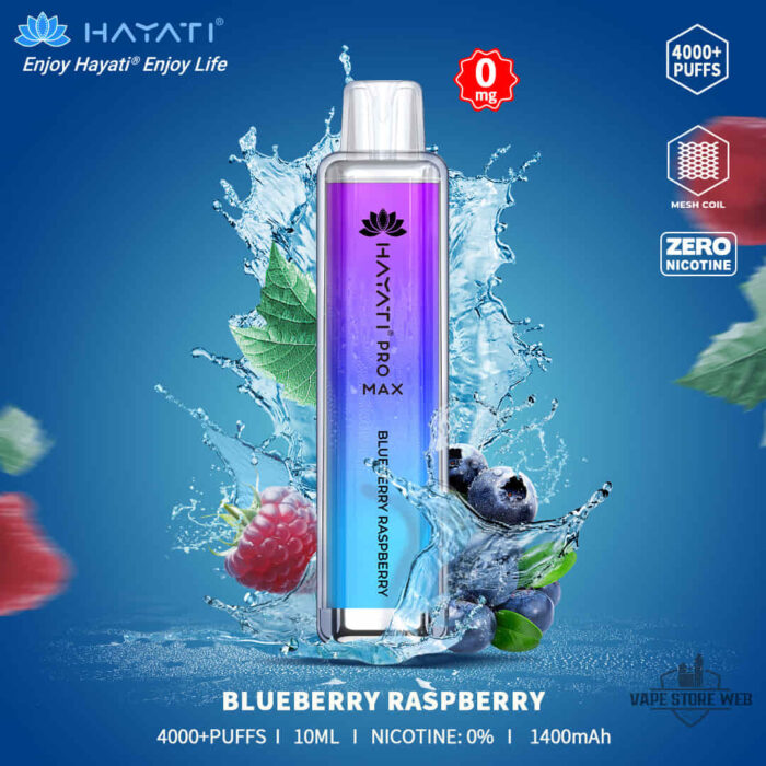 HAYATI PRO MAX 4000 BLUEBERRY RASPBERRY