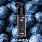 VNSN Spark 12000 Puffs Price in Dubai BLUEBERRY ICE