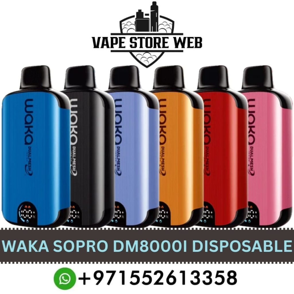 Waka SoPro DM8000i review