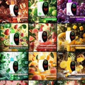 CHILLAX Shake 22000 Puffs Price In UAE