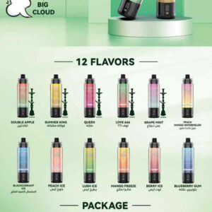 VNSN MAX 20000 Puffs 20K Price In UAE