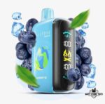 ELFBAR Raya D3 25000 Puffs Disposable Vape Price in Dubai Blueberry Ice