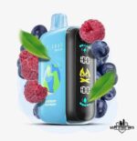 ELFBAR Raya D3 25000 Puffs Disposable Vape Price in Dubai Blueberry Raspberry