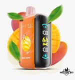 ELFBAR Raya D3 25000 Puffs Disposable Vape Price in Dubai Double Mango