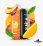 ELFBAR Raya D3 25000 Puffs Disposable Vape Price in Dubai Mango Peach