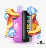 ELFBAR Raya D3 25000 Puffs Disposable Vape Price in Dubai Peach Ice