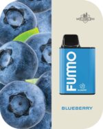 FUMMO KING 6000 PUFFS Price in Dubai BLUEBERRY