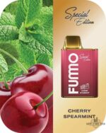 FUMMO KING 6000 PUFFS Price in Dubai CHERRY SPEARMINT