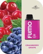 FUMMO KING 6000 PUFFS Price in Dubai CRANBERRY GRAPE