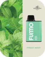 FUMMO KING 6000 PUFFS Price in Dubai FRESH MINT