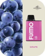 FUMMO KING 6000 PUFFS Price in Dubai GRAPE