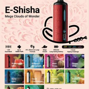 ELF BAR E SHISHA 16000 Puffs Price In UAE