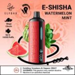 ELF BAR E-Shisha 16000 Puffs Mega Cloud DTL 5MG Disposable Vape Price in Dubai Watermelon Mint