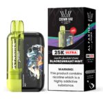 Al Fakher Ultra 25000 Puffs 50MG Disposable Vape Price in Duabi Blackcurrant Mint