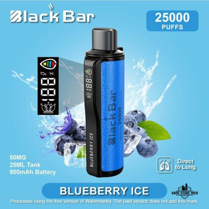 Black Bar 25000 Puffs Disposable Vape in Dubai BLUEBERRY ICE