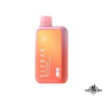 ELF BAR 10000 Puffs 5% Disposable Vape Price in Dubai Cherry Watermelon