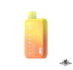 ELF BAR 10000 Puffs 5% Disposable Vape Price in Dubai Double Mango