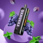 OXBAR Oxhukka 25K Puffs 5MG Disposable Vape Price in Dubai Grape Mint