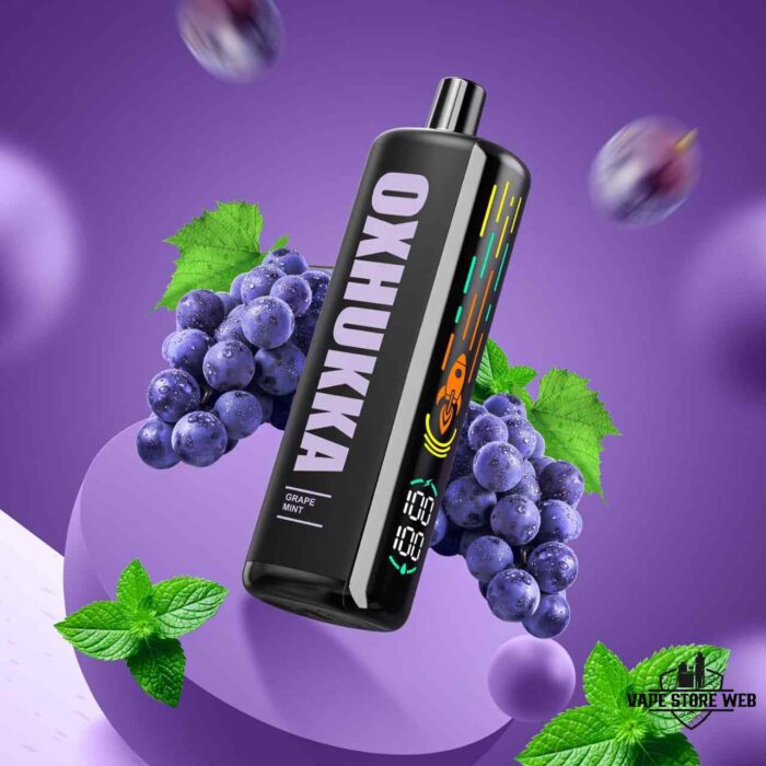 OXBAR Oxhukka 25K Puffs 5MG Disposable Vape Price in Dubai Grape Mint