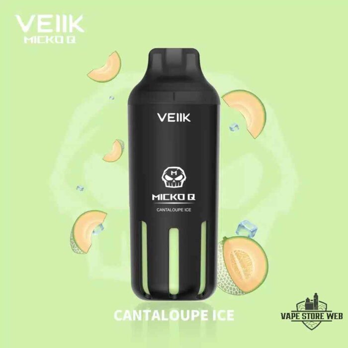 VEIIK MICKO Q 5500 Puffs 30mg Disposable Vape Price in Dubai Cantaloup Ice