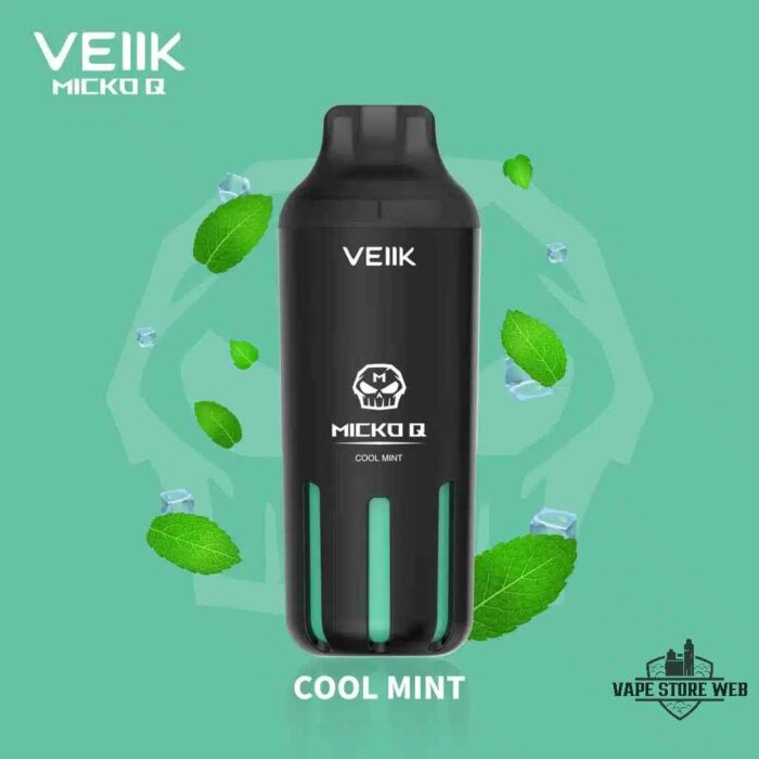 VEIIK MICKO Q 5500 Puffs 30mg Disposable Vape Price in Dubai Cool Mint
