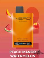 NERD Slim 80000 Puffs Disposable Vape Price in Dubai Peach Mango Watermelon