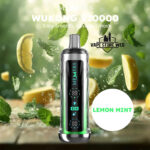 MEMERS Wukong V20000 Puffs Disposable Vape Price in Dubai Lemon Mint