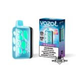 VOZOL Rave 50000 Puffs 50MG Disposable Vape Price in Dubai Blue Razz Ice