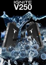 ignite v250 25k puffs disposable vape in dubai blueberry ice