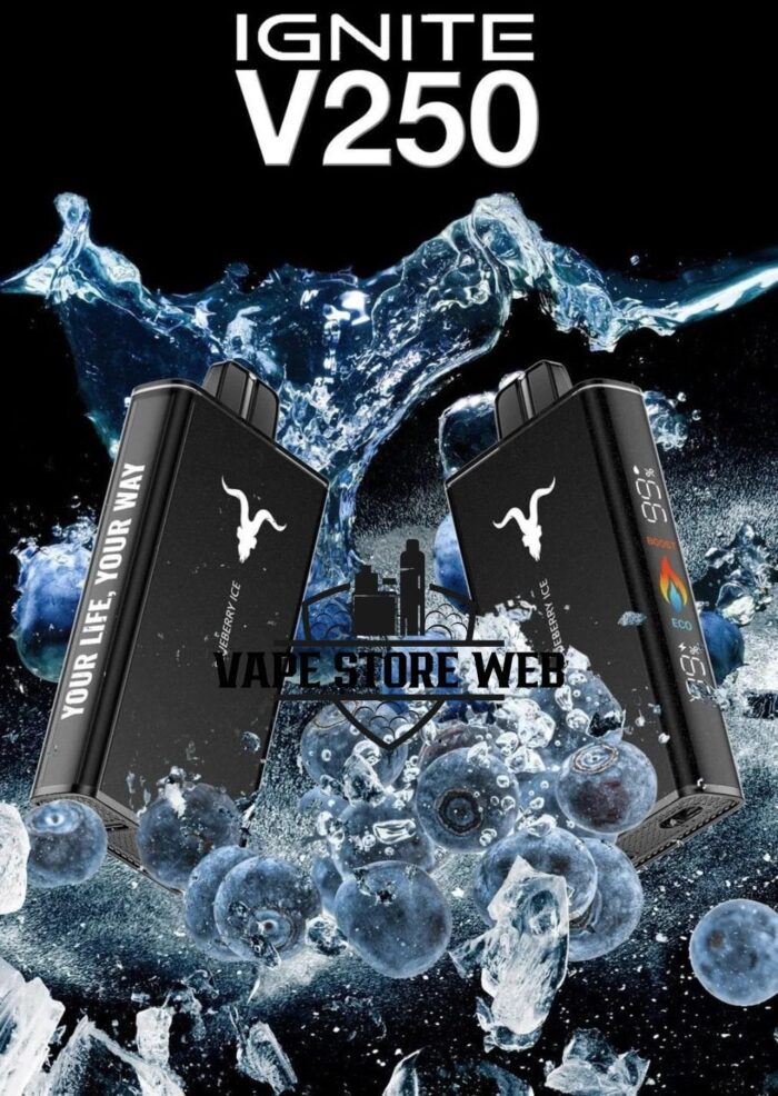 ignite v250 25k puffs disposable vape in dubai blueberry ice