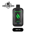 black bar 30000 puffs disposable vape in dubai mango mint ice